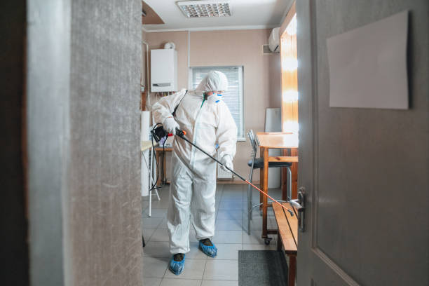  Lorenzo, TX Mold Removal Pros