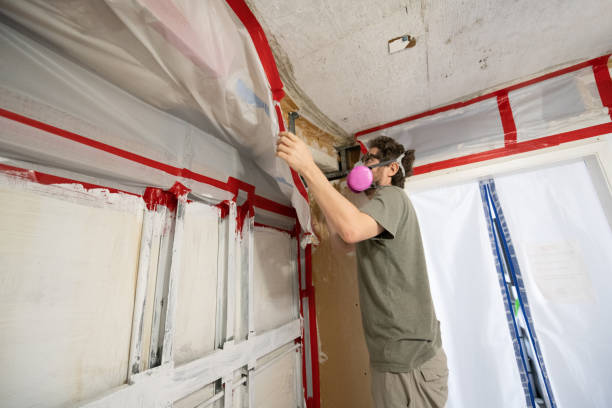 Best Air Quality Testing for Mold Spores  in Lorenzo, TX