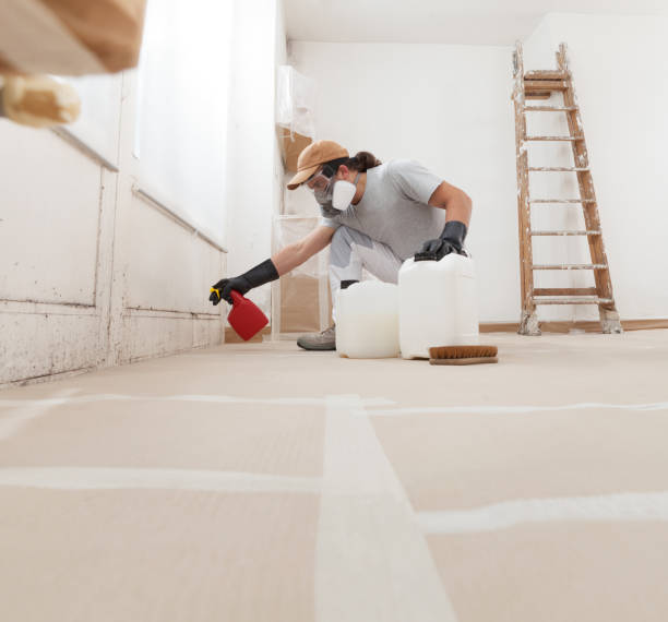 Best Forensic Mold Investigation  in Lorenzo, TX